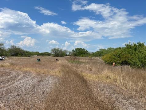 165 County Road 3061 Orange Grove TX 78372