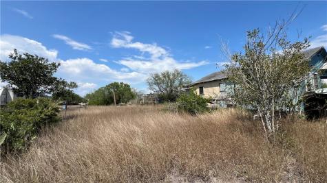 165 County Road 3061 Orange Grove TX 78372