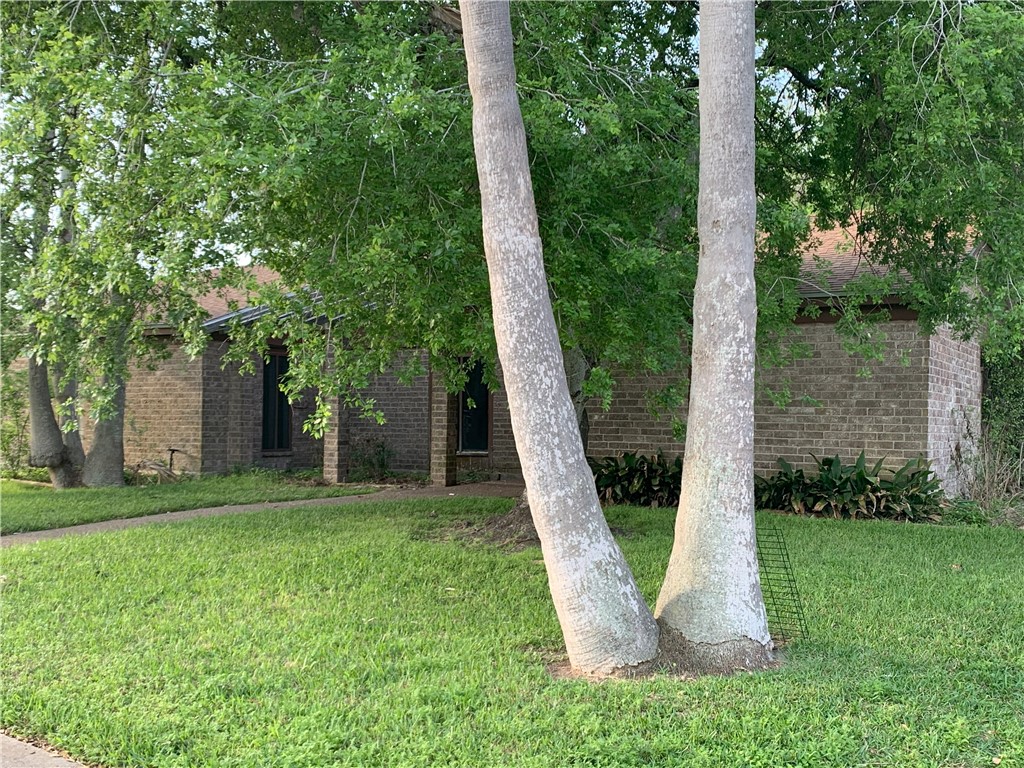 4433 Greensboro Drive Corpus Christi TX 78413