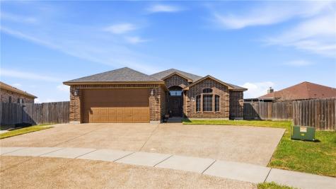 14226 Kruip Court Robstown TX 78380