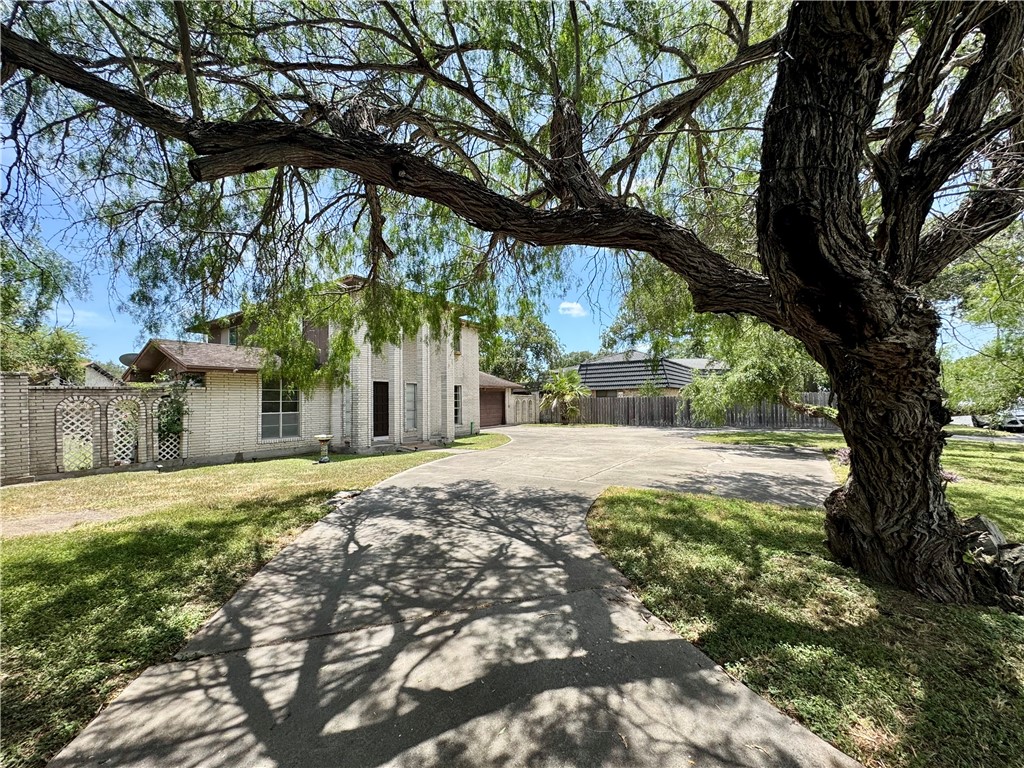 503 E Ailsie Avenue Kingsville TX 78363