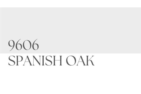9606 Spanish Oak Drive Corpus Christi TX 78410