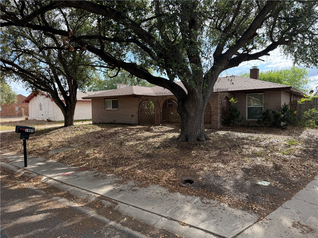 1905 Rettye Drive Kingsville TX 78363