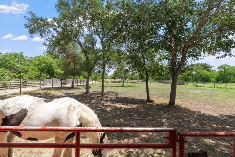 6154 County Road 97a Sandia TX 78383