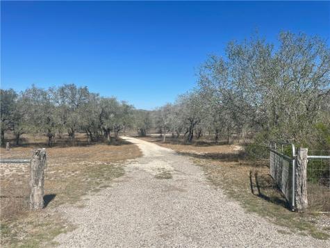 7879 Chestnut Road Beeville TX 78102