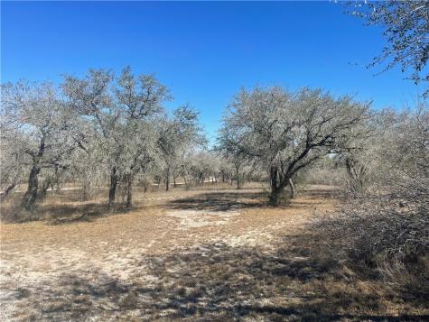 7879 Chestnut Road Beeville TX 78102