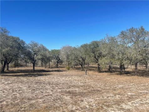 7879 Chestnut Road Beeville TX 78102