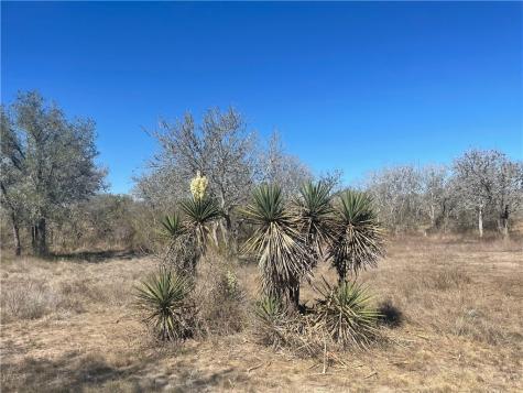 7879 Chestnut Road Beeville TX 78102