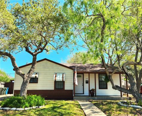 729 Sharon Drive Corpus Christi TX 78412