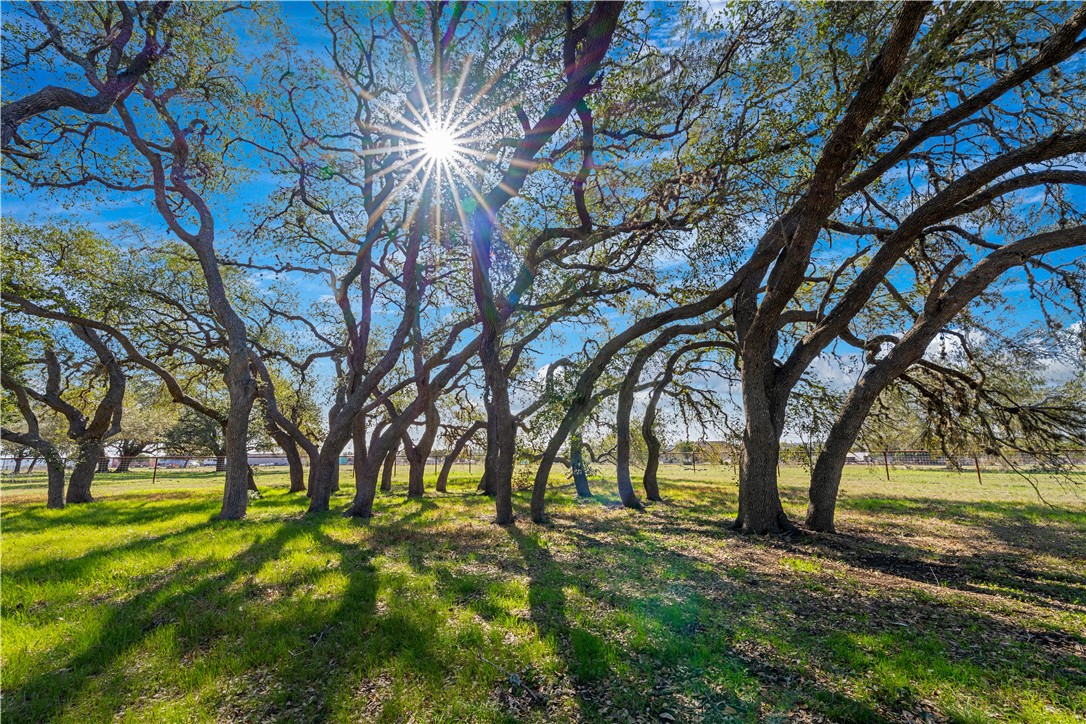 2444 Purgatory Road New Braunfels TX 78132