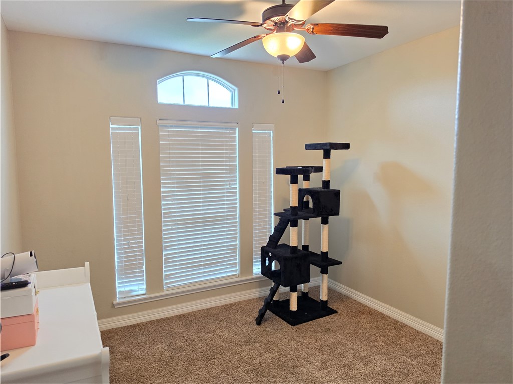 4343 Summer Wind Drive Corpus Christi TX 78413