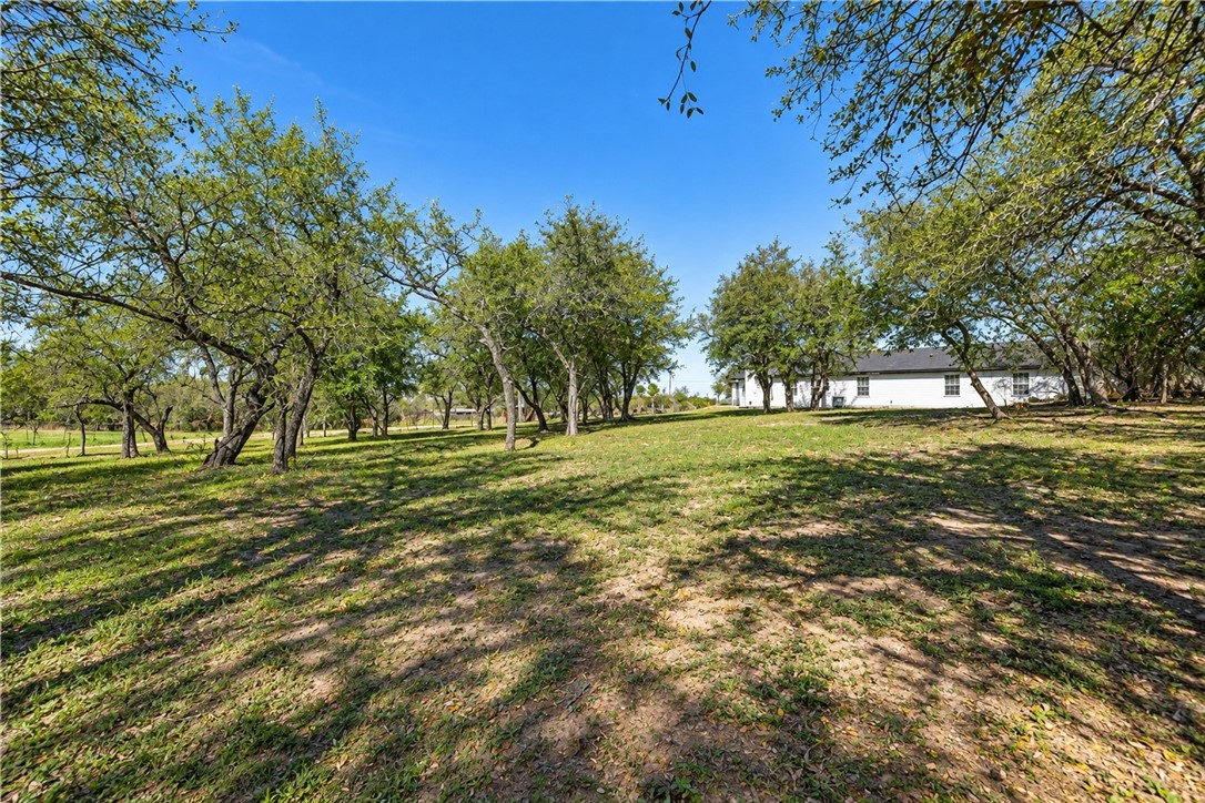 12631 Leopard Street Corpus Christi TX 78410