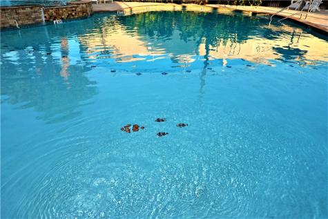 15101 Beach Country Drive Corpus Christi TX 78418