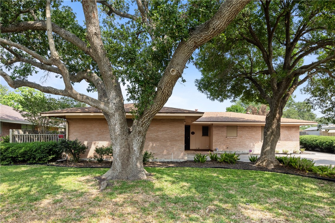 533 Evergreen Drive Corpus Christi TX 78412