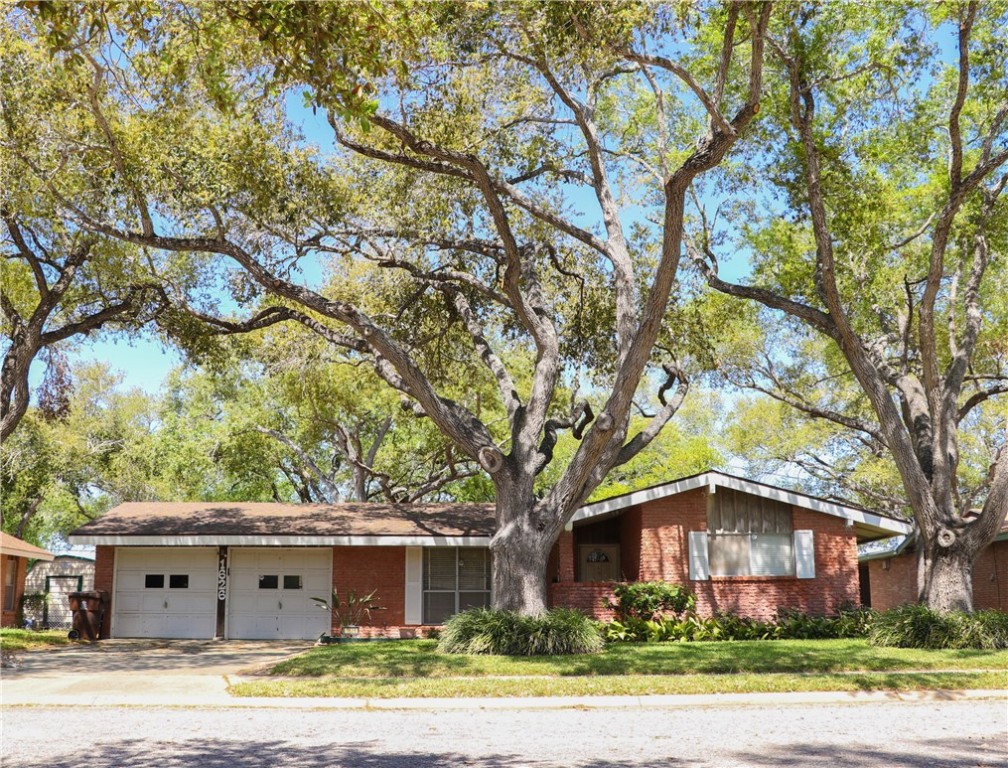 1626 Santa Maria Street Kingsville TX 78363