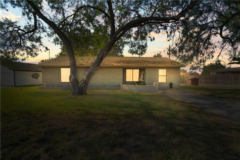 167 Trail Ridge Drive Sandia TX 78383