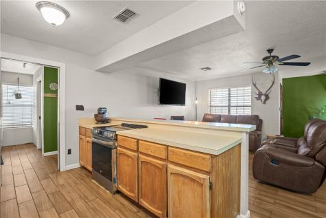 167 Trail Ridge Drive Sandia TX 78383