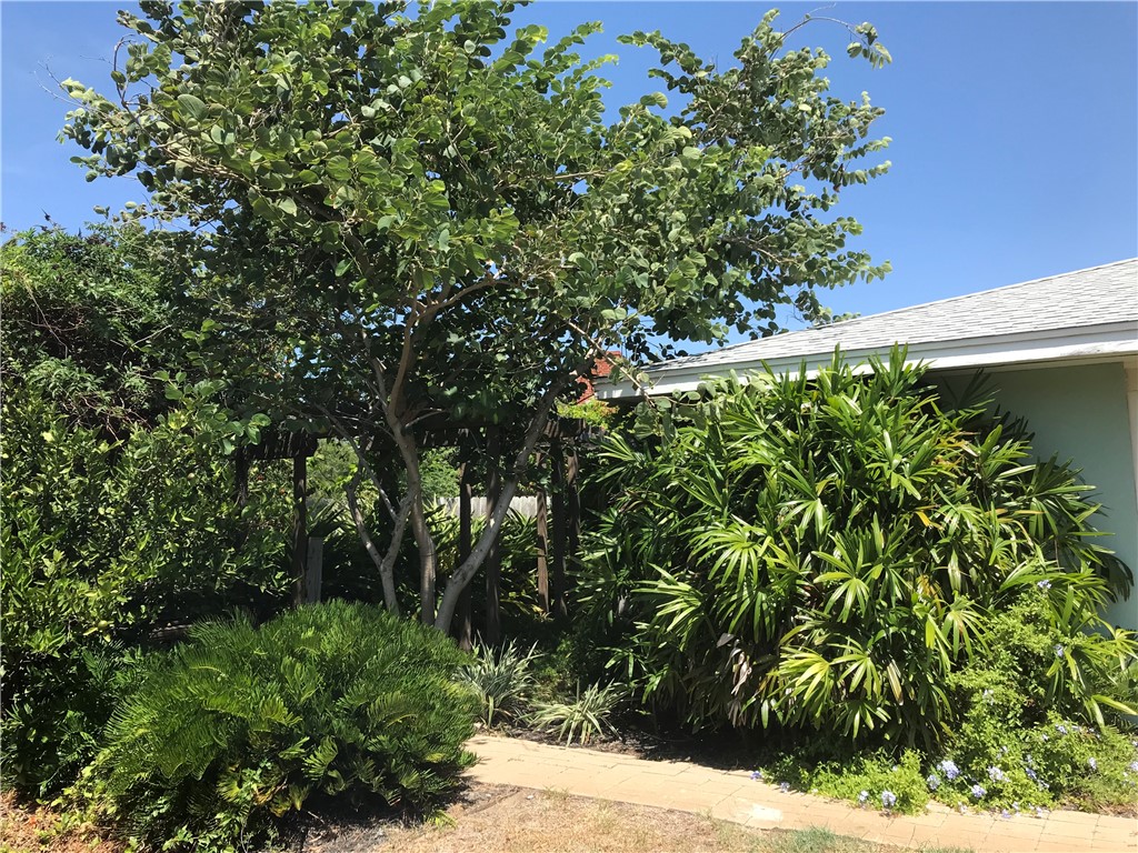 3241 Azores Drive Corpus Christi TX 78418