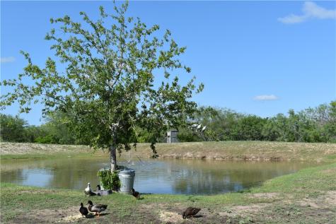 5729 County Road 308 Orange Grove TX 78372