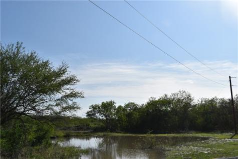 5729 County Road 308 Orange Grove TX 78372