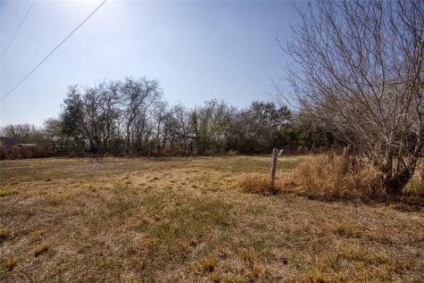 4521 County Road 2211 Odem TX 78370