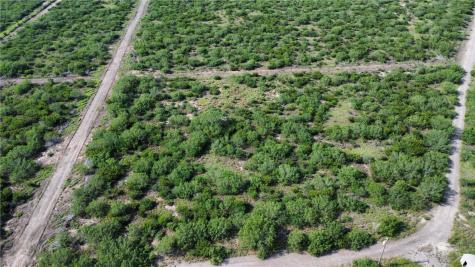 Tbd Honey Mesquite Freer TX 78357
