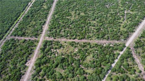 Tbd Honey Mesquite Freer TX 78357