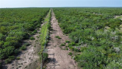 Tbd Honey Mesquite Freer TX 78357