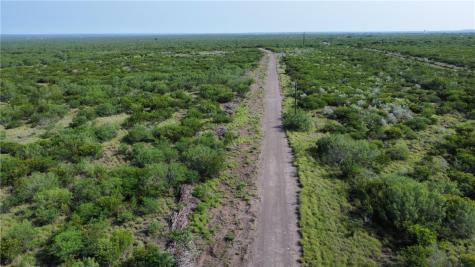 Tbd Honey Mesquite Freer TX 78357