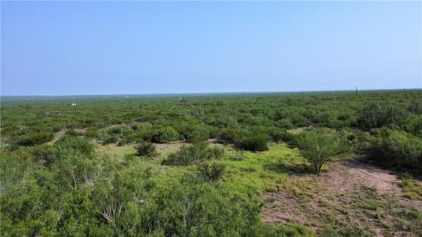 Tbd Honey Mesquite Freer TX 78357