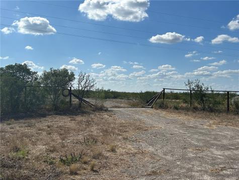 Tbd Honey Mesquite Freer TX 78357