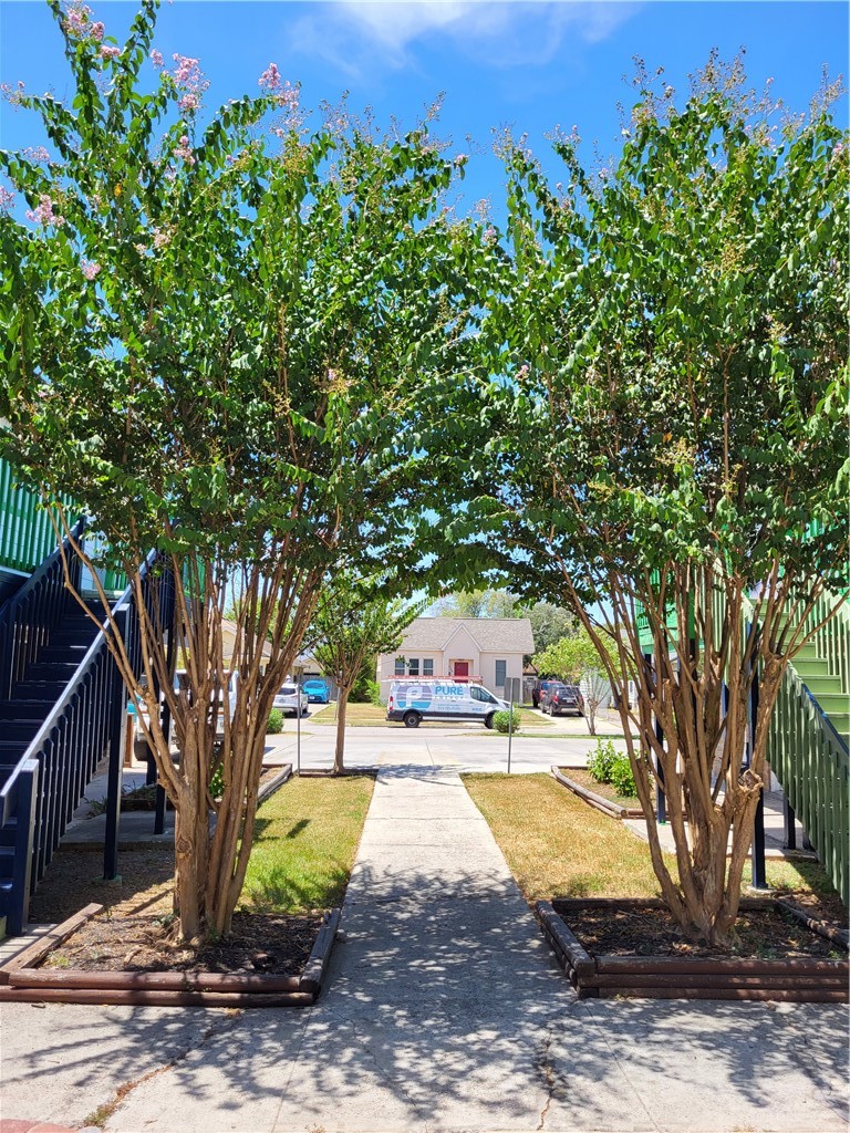 425 Clifford Street 7 Corpus Christi TX 78404