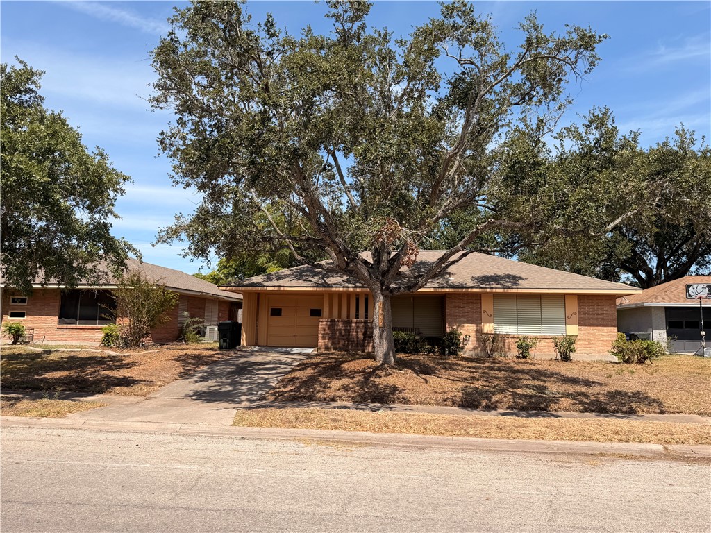 4542 Adkins Drive Corpus Christi TX 78411