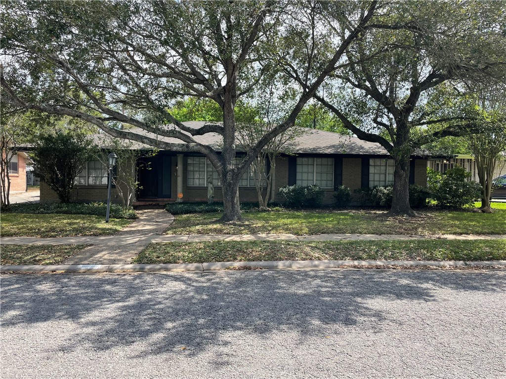 513 Monette Drive Corpus Christi TX 78412