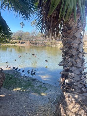 2058 Hidden Lake Corpus Christi TX 78412