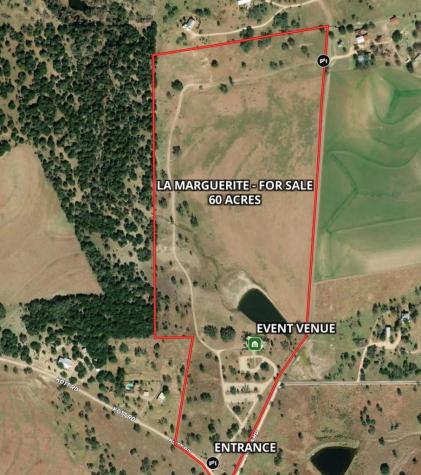 1213 Kott Road Fredericksburg TX 78624