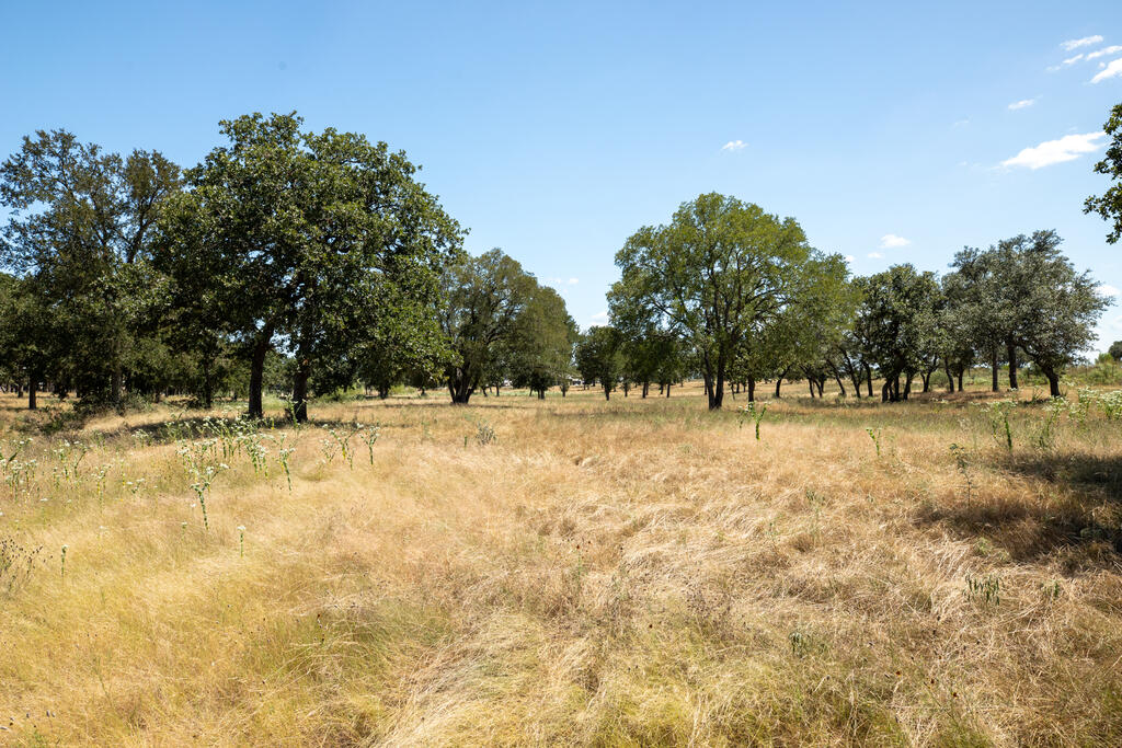 3600 E Us Highway 290 Fredericksburg TX 78624
