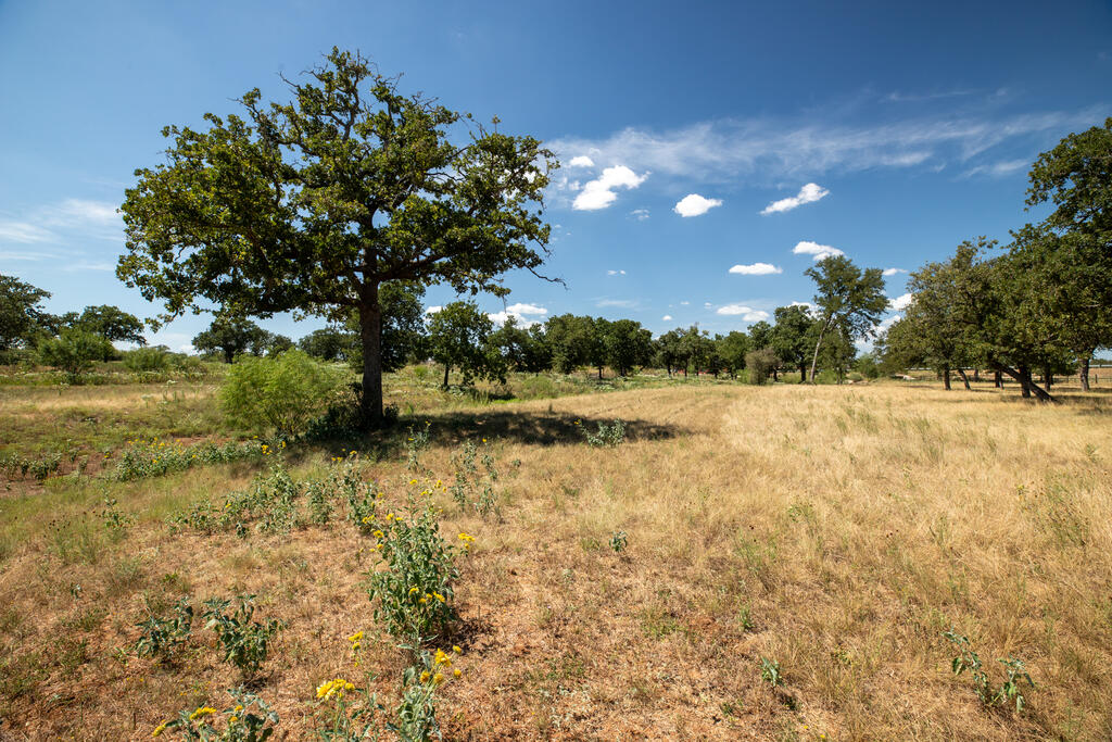 3600 E Us Highway 290 Fredericksburg TX 78624