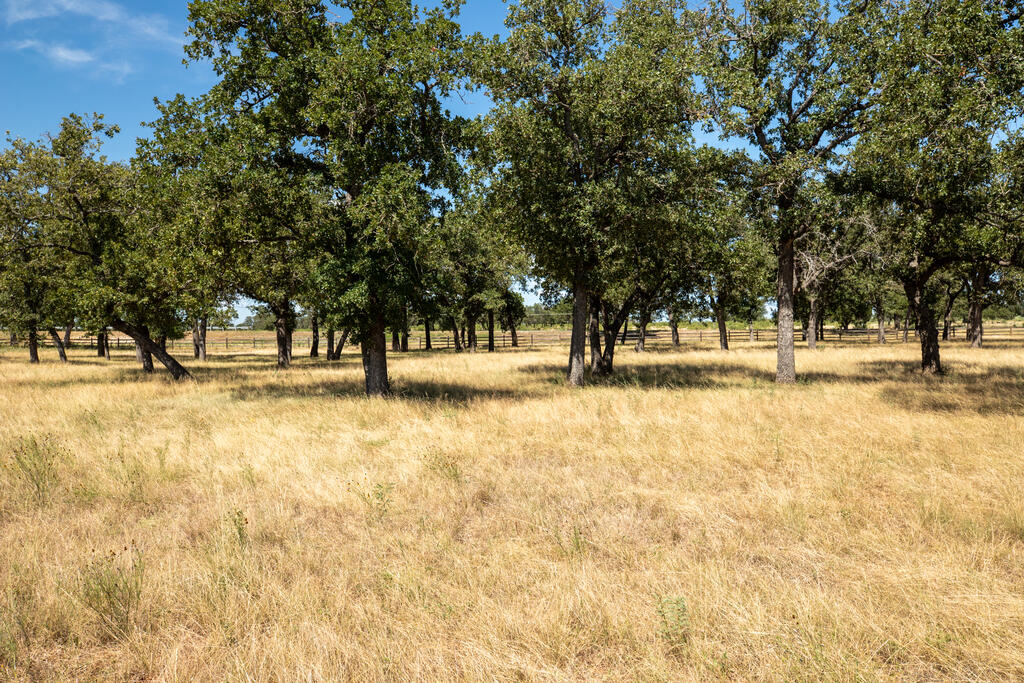3600 E Us Highway 290 Fredericksburg TX 78624