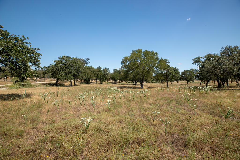 3600 E Us Highway 290 Fredericksburg TX 78624