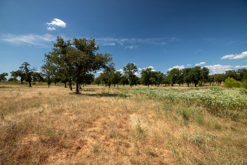 3600 E Us Highway 290 Fredericksburg TX 78624