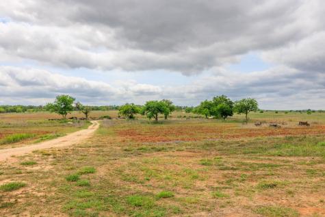 14445 E Us Highway 290 Stonewall TX 78671