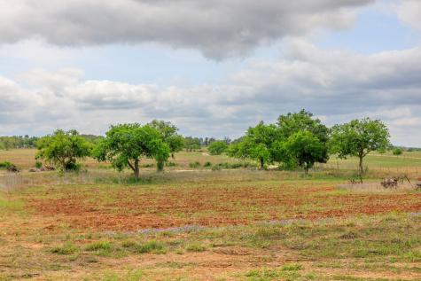 14445 E Us Highway 290 Stonewall TX 78671