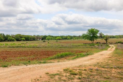 14445 E Us Highway 290 Stonewall TX 78671