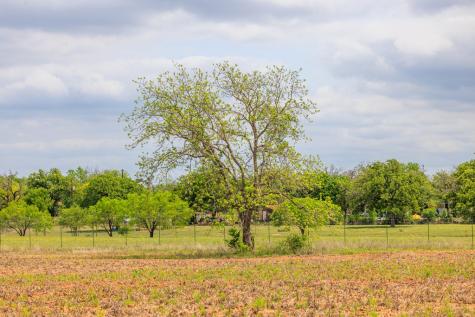 14445 E Us Highway 290 Stonewall TX 78671