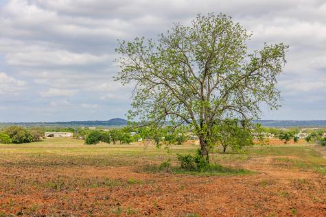14445 E Us Highway 290 Stonewall TX 78671