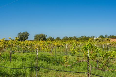 10207 E Us Highway 290 Fredericksburg TX 78624