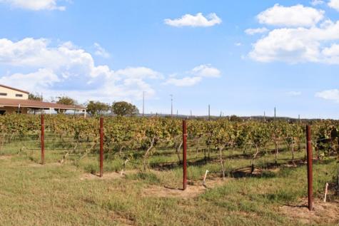 11157 W Us Highway 290 Hye TX 78635