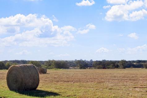 11157 W Us Highway 290 Hye TX 78635