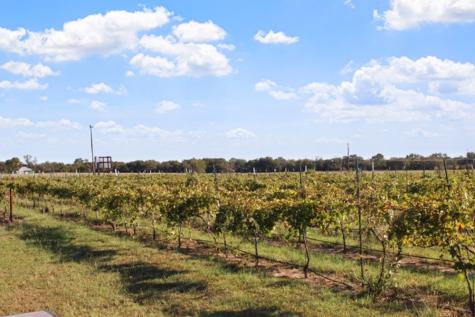 11157 W Us Highway 290 Hye TX 78635